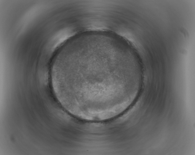 X0000113101306200910091131