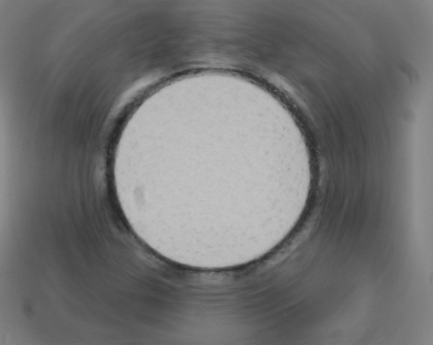 X0000113101307200910091131