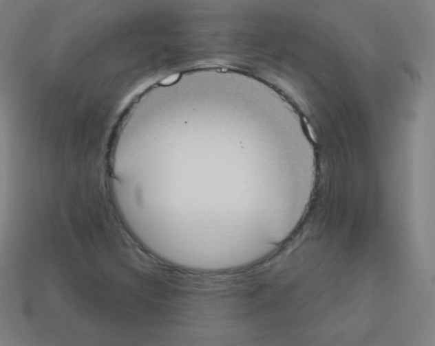 X0000113101308200910091131