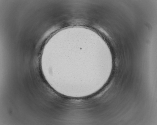 X0000113101309200910091131