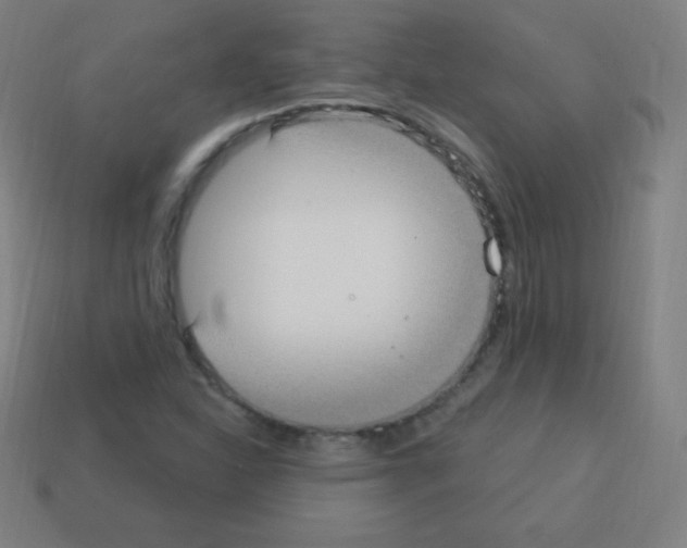 X0000113101310200910091131