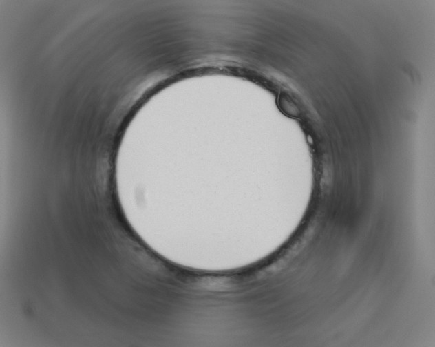 X0000113101313200910091131