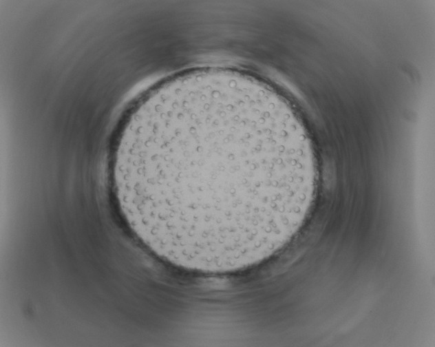 X0000113101315200910091131