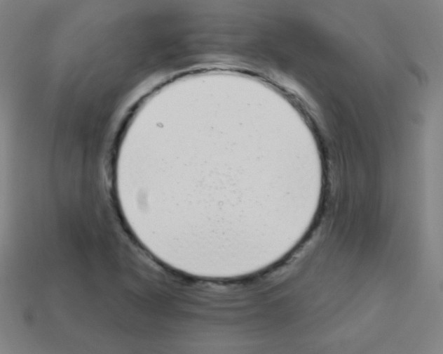 X0000113101318200910091131