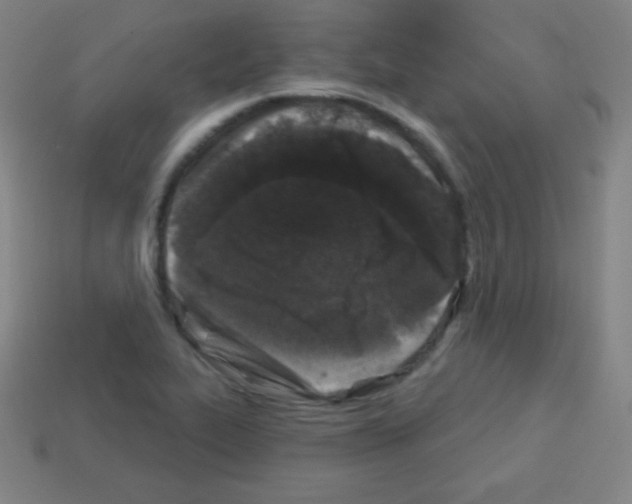 X0000113101319200910091131