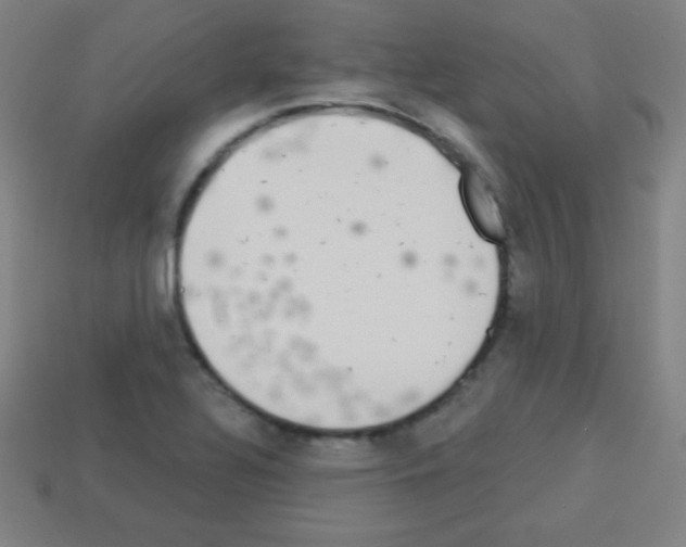 X0000113101320200910091131
