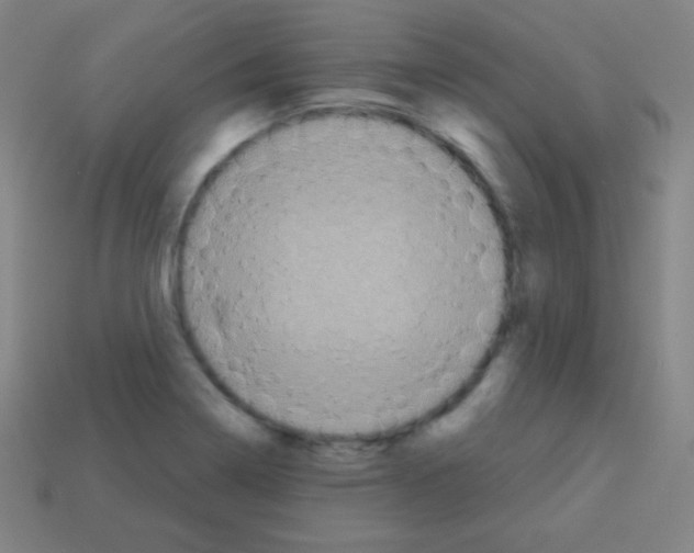 X0000113101322200910091131