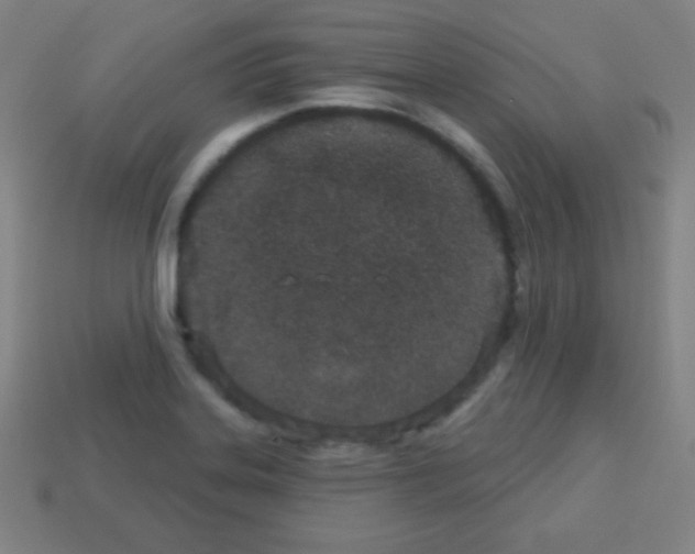 X0000113101323200910091131