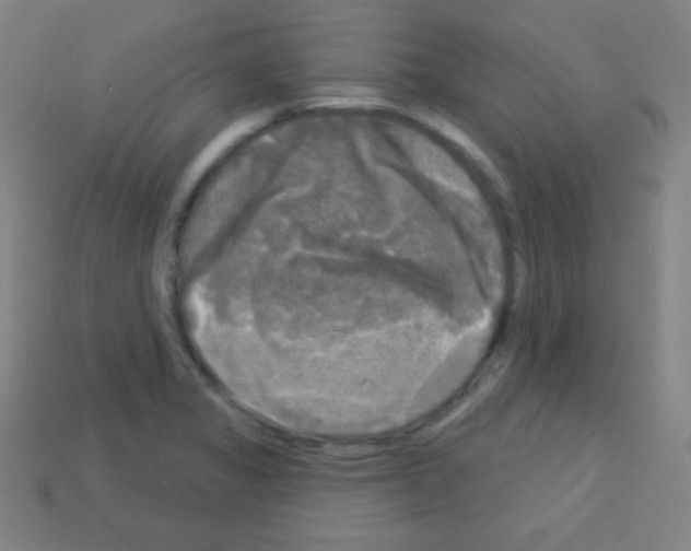 X0000113101325200910091131