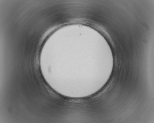 X0000113101328200910091131