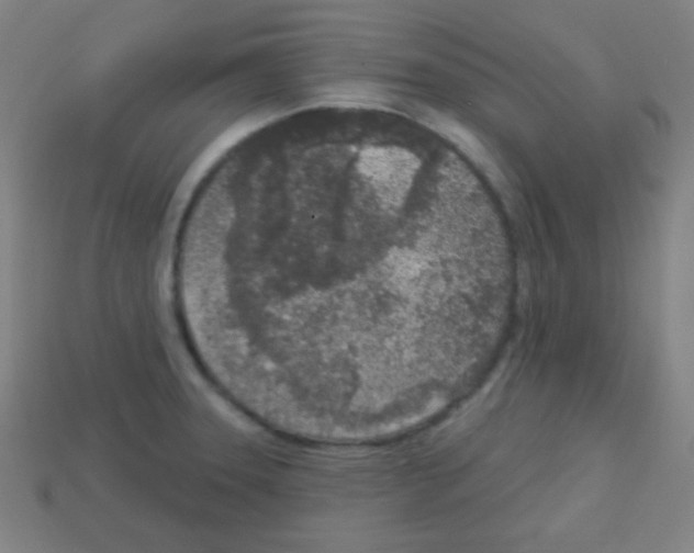 X0000113101331200910091131