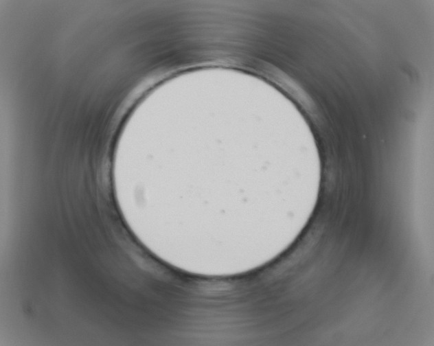 X0000113101332200910091131