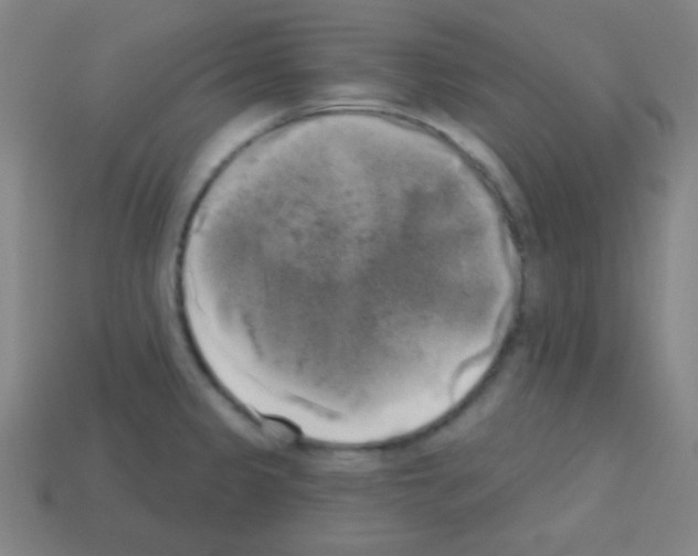 X0000113101333200910091131