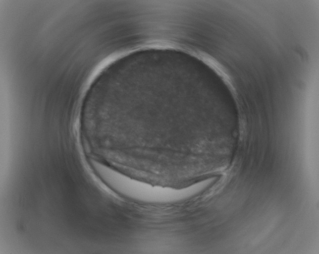X0000113101334200910091132