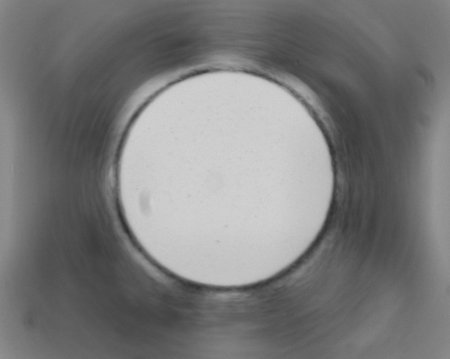 X0000113101335200910091132