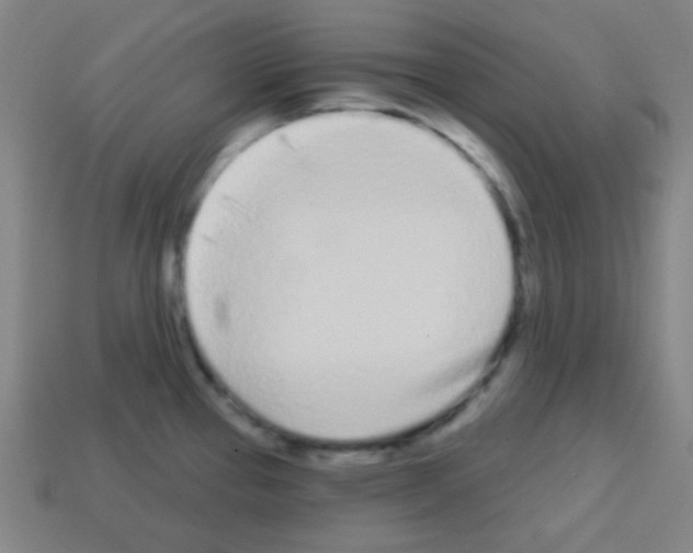 X0000113101337200910091132