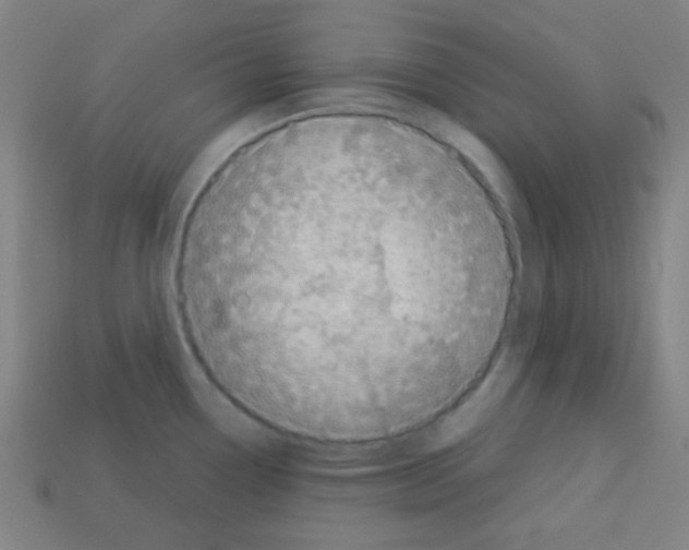 X0000113101338200910091132