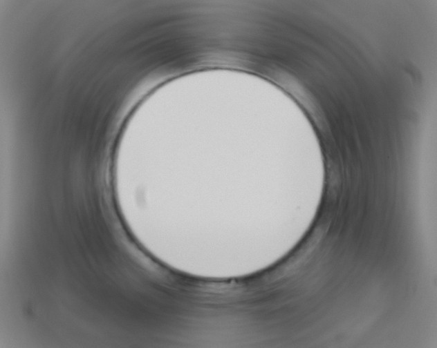 X0000113101339200910091132