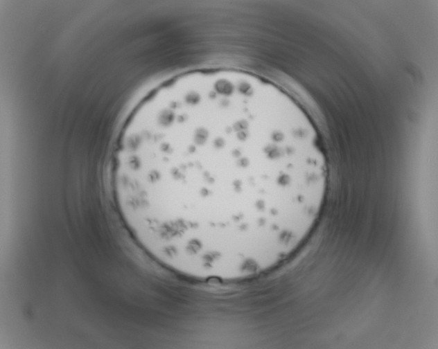 X0000113101340200910091132