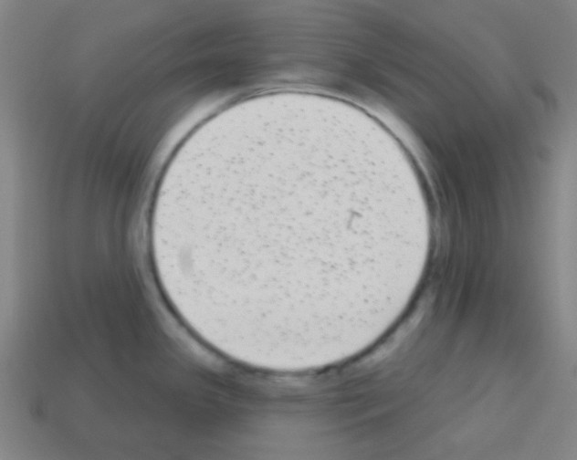 X0000113101341200910091132