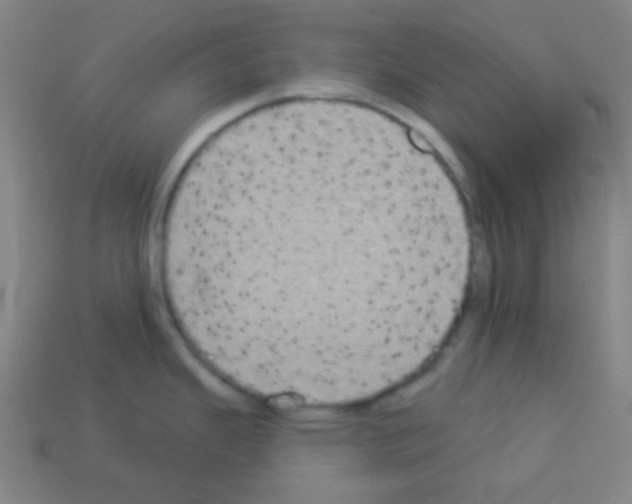 X0000113101343200910091132
