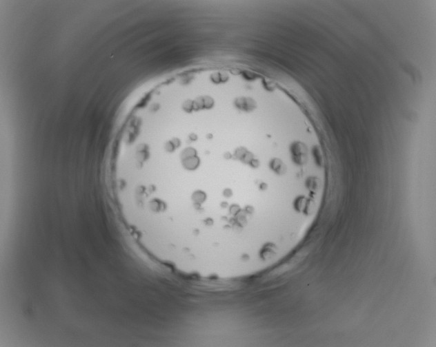 X0000113101344200910091132