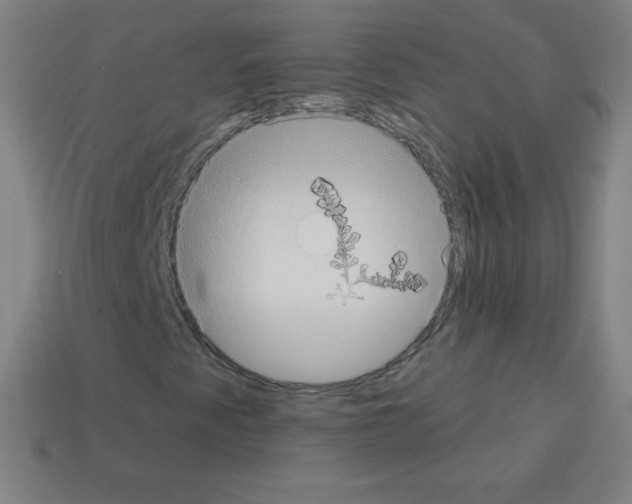 X0000113101345200910091131