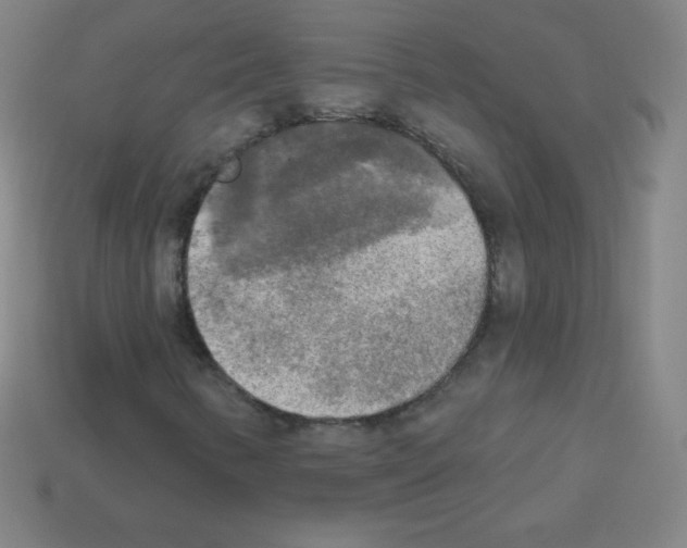 X0000113101346200910091131