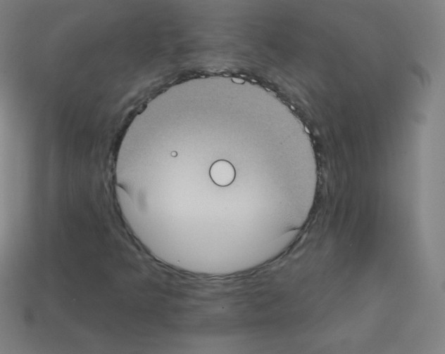 X0000113101349200910091131