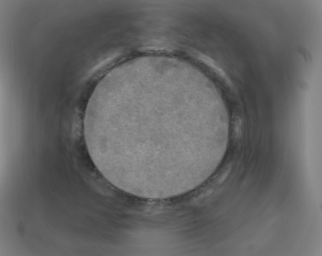 X0000113101350200910091131