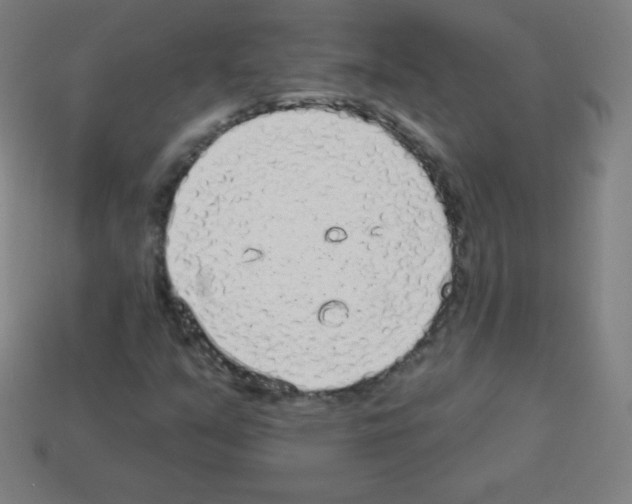 X0000113101351200910091131