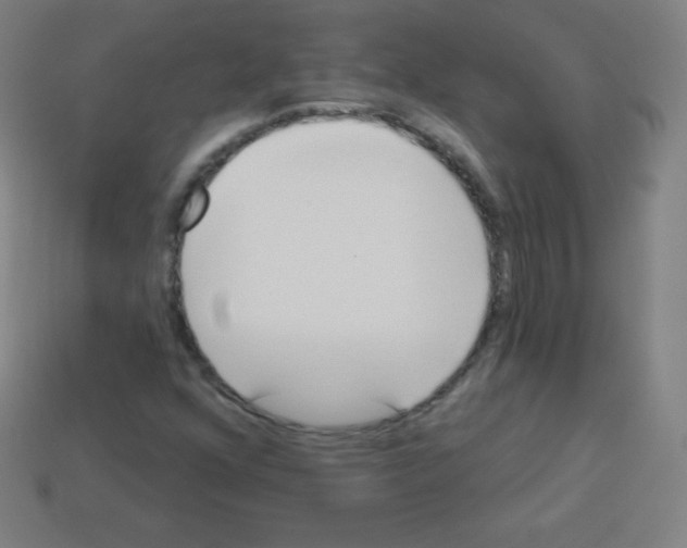 X0000113101352200910091131
