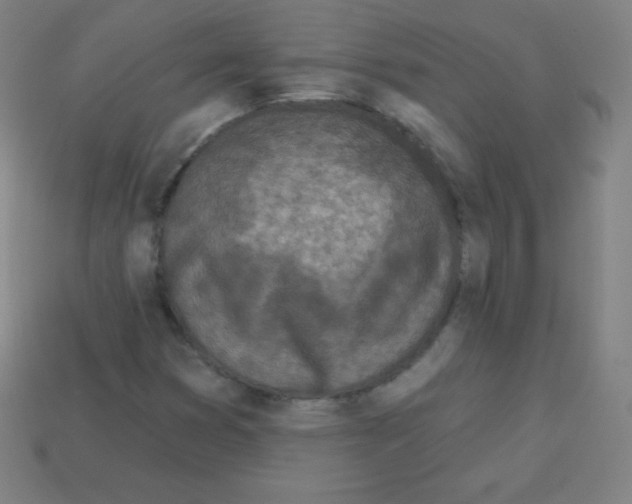 X0000113101353200910091131