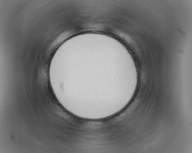 X0000113101354200910091131