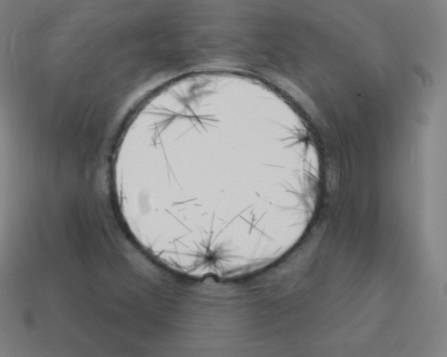 X0000113101356200910091131