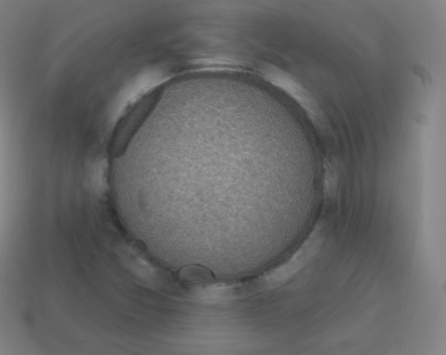 X0000113101357200910091131