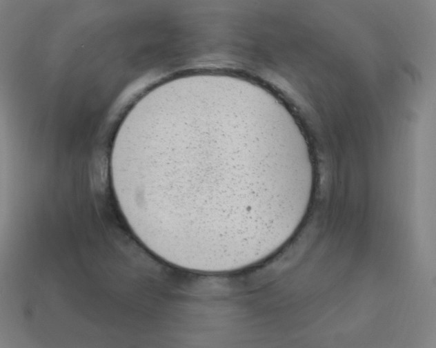X0000113101358200910091131