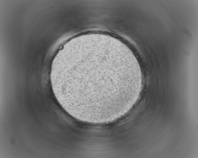 X0000113101359200910091131