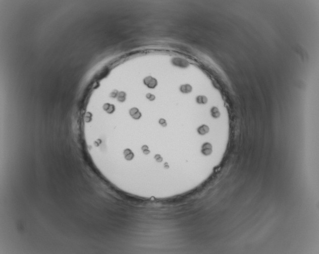 X0000113101360200910091131