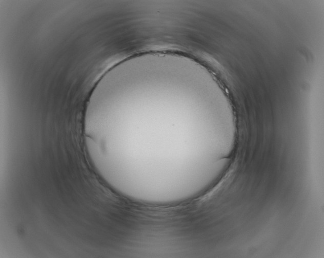 X0000113101361200910091131