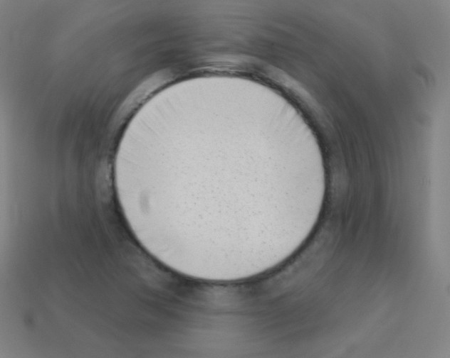 X0000113101362200910091131