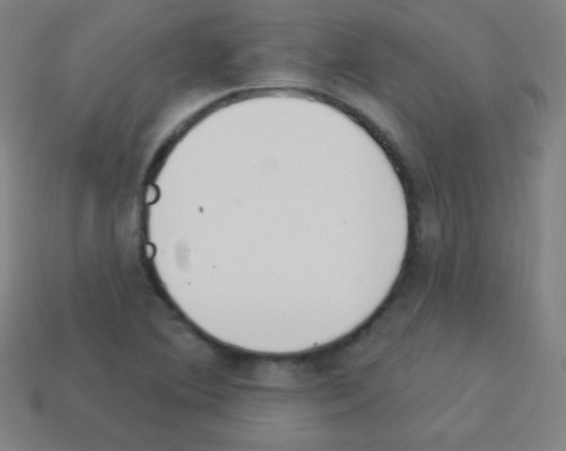X0000113101364200910091131