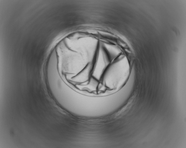 X0000113101365200910091131