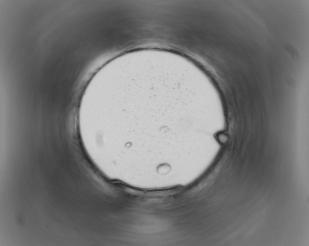 X0000113101367200910091131