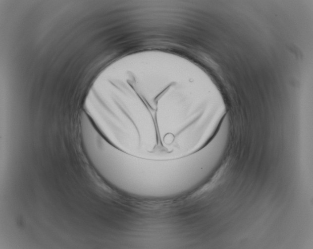 X0000113101369200910091131