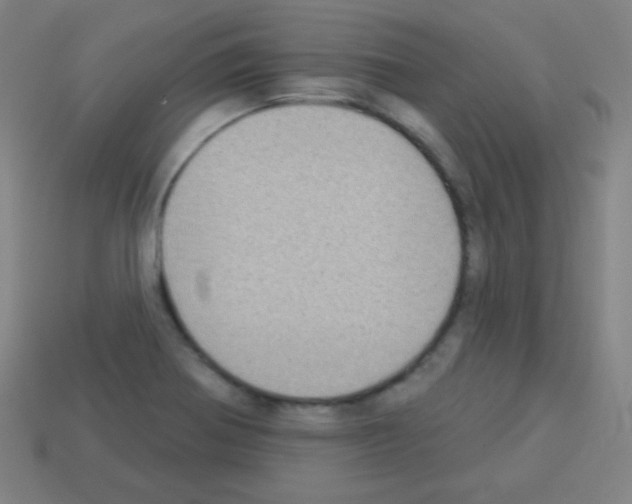 X0000113101370200910091131