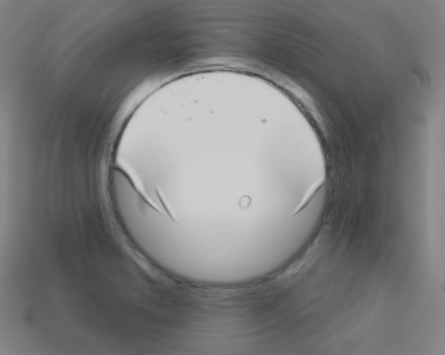 X0000113101373200910091130