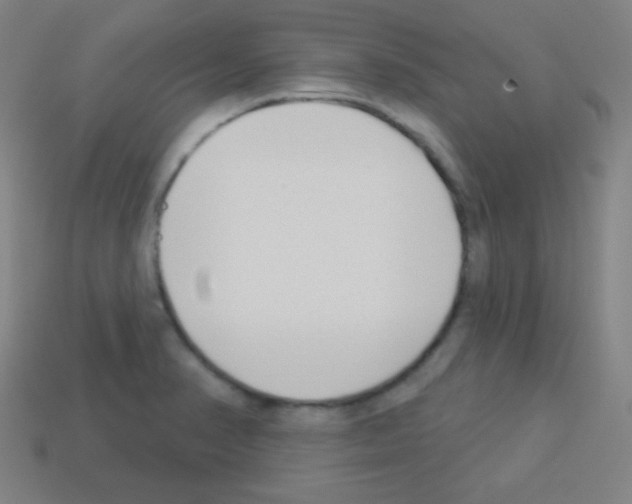 X0000113101374200910091130