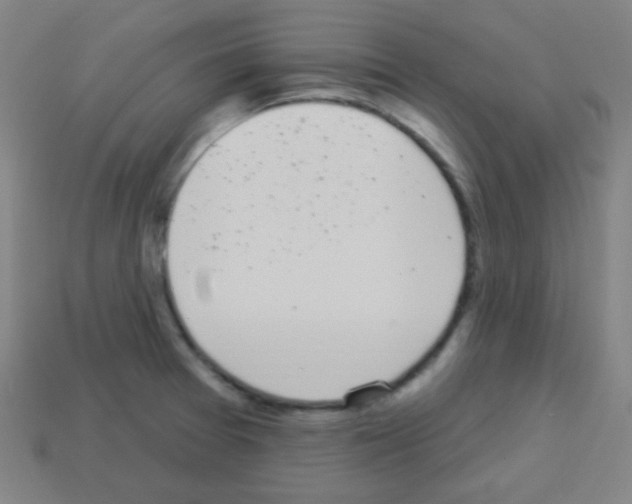 X0000113101377200910091130