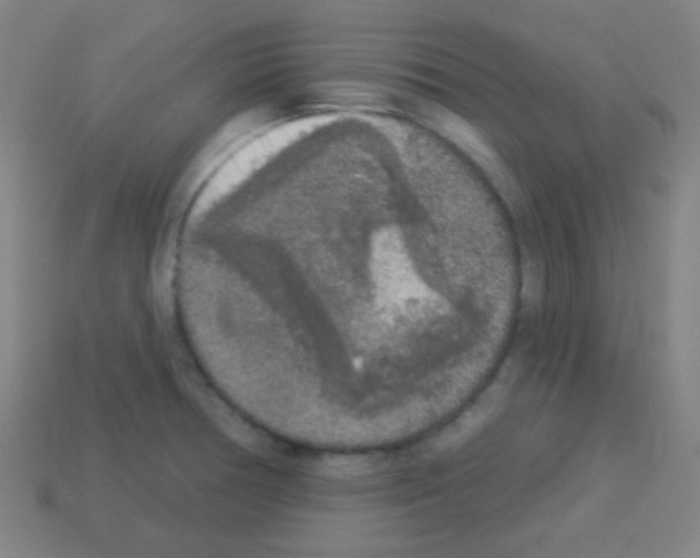 X0000113101378200910091130